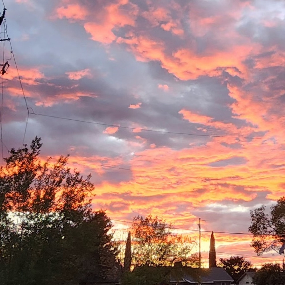 Meet your Posher, Genny